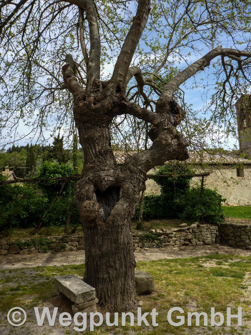 Da geht doch das Herz auf in Montalcino